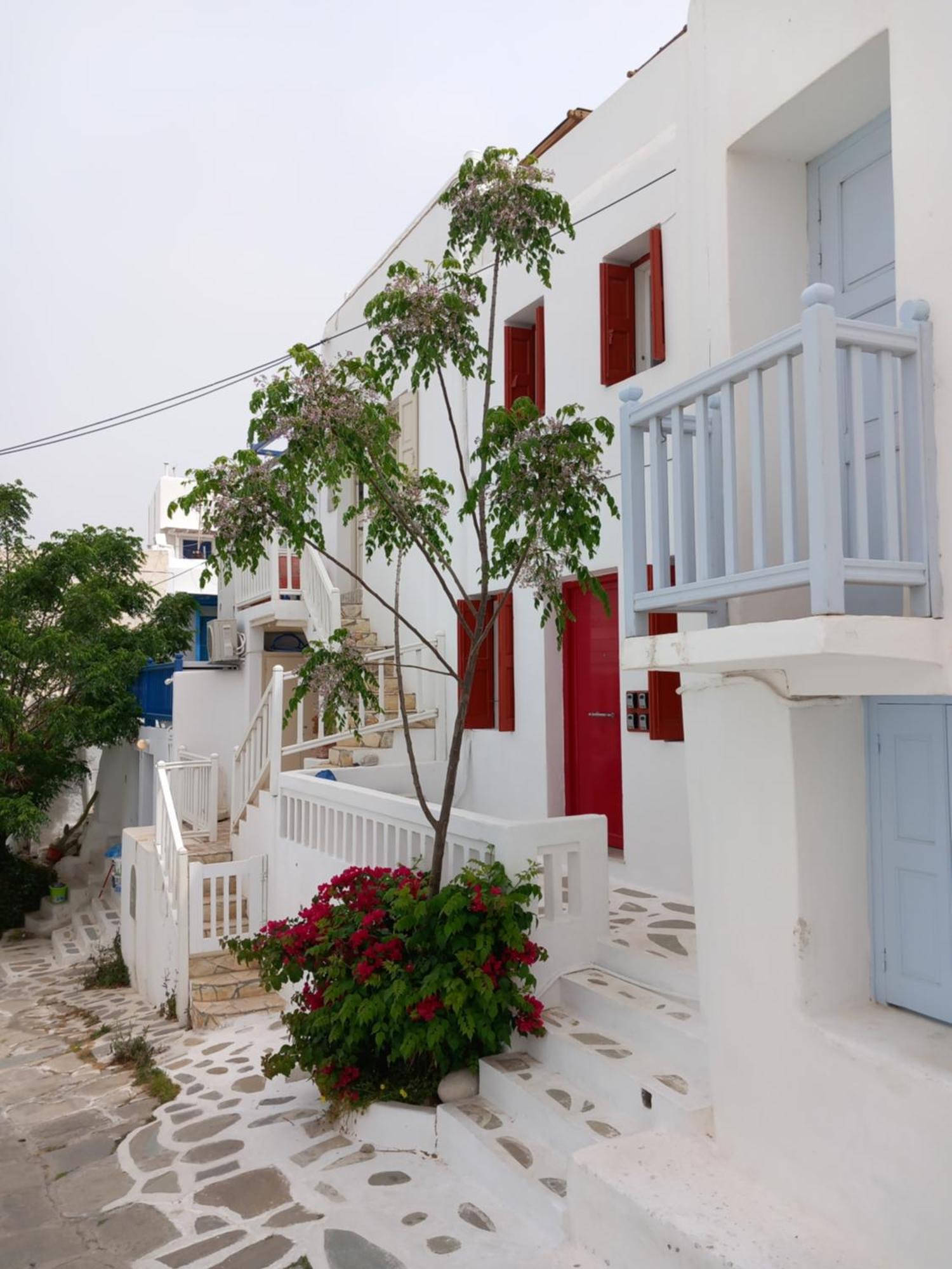 Alex Oldtown Sea View Rooms And Appartments Mykonos Town Dış mekan fotoğraf