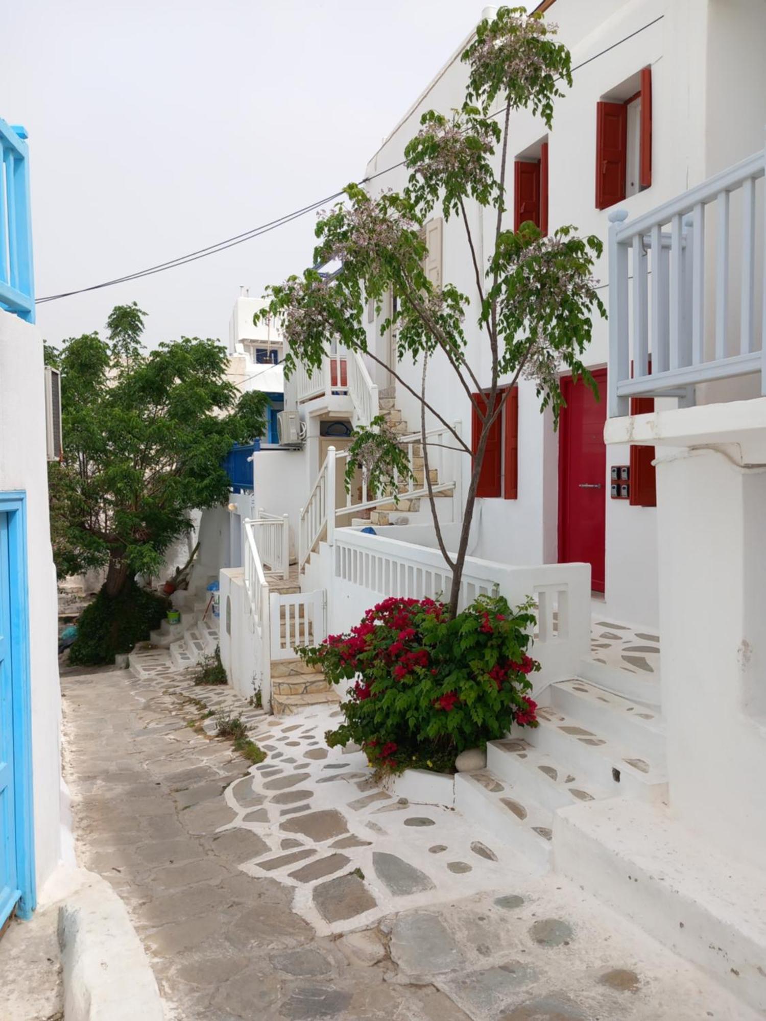 Alex Oldtown Sea View Rooms And Appartments Mykonos Town Dış mekan fotoğraf