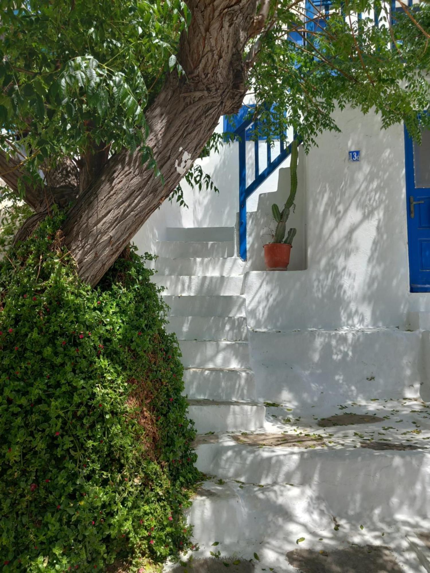 Alex Oldtown Sea View Rooms And Appartments Mykonos Town Oda fotoğraf