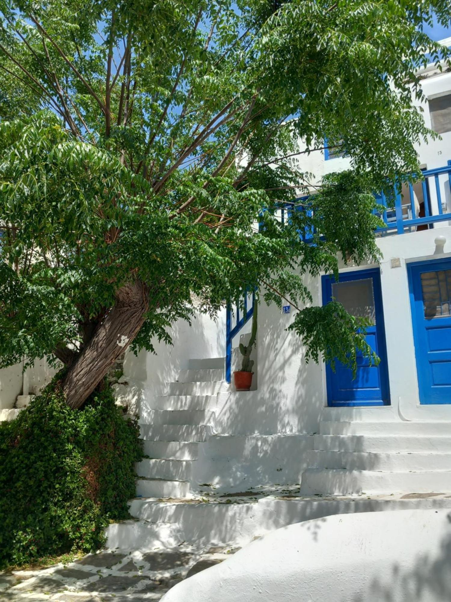Alex Oldtown Sea View Rooms And Appartments Mykonos Town Oda fotoğraf