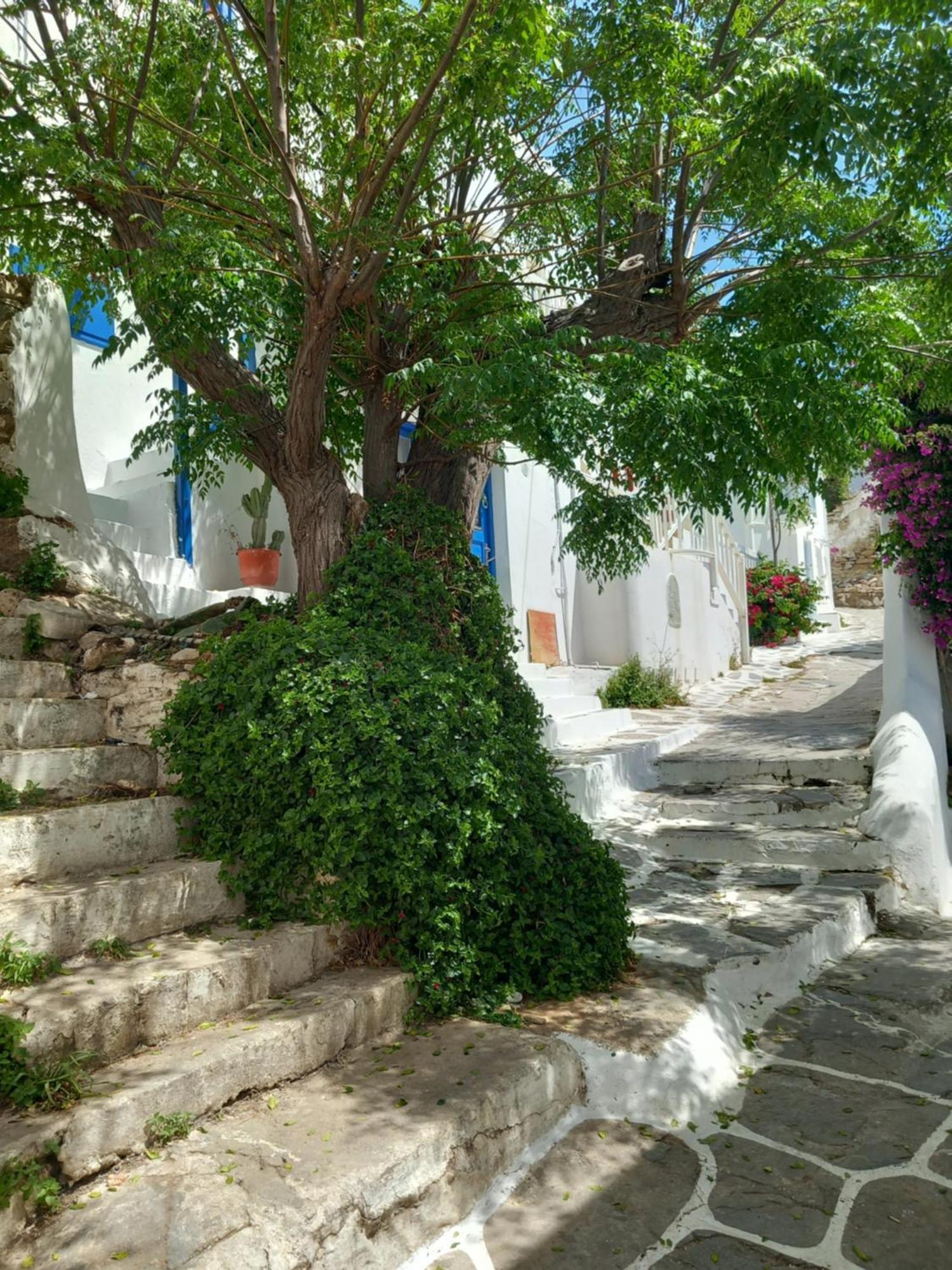Alex Oldtown Sea View Rooms And Appartments Mykonos Town Dış mekan fotoğraf